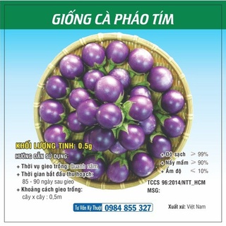 Hạt giống Cà Pháo Tím - Cà Pháo Trắng