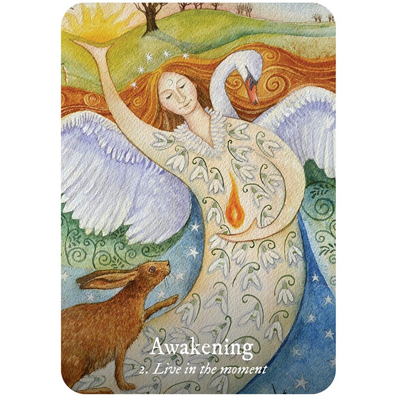 Bộ Bài Goddess Love Oracle  - Bài Gốc Authentic Chính Hãng 100%