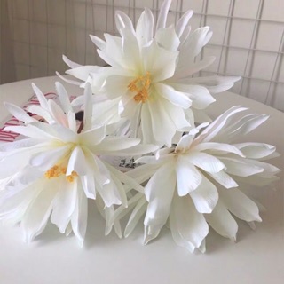 Hoa quỳnh giả chụp cổ trang