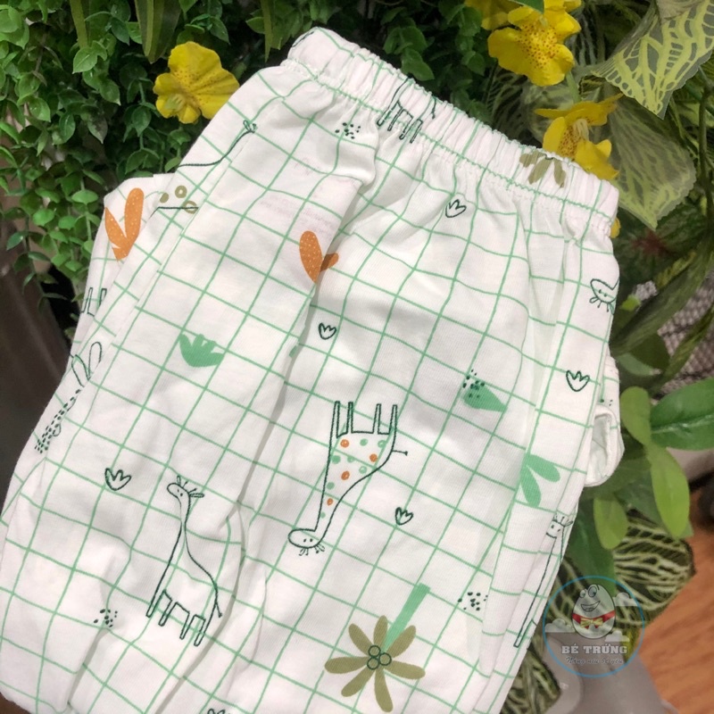 DB865 Bộ pijama cộc tay quần dài cotton Dokma (2-6T)