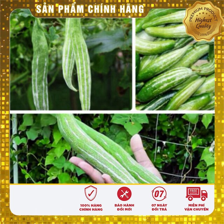 Hạt giống quả mướp Lặc Lày Mướp Nhật Ngắn gói 2 gram