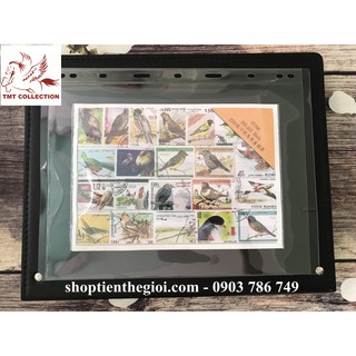 Phơi Trong Suốt Dùng Trưng Bày Tiền, Tem Các Loại -  TMT Collection - TMTC1000