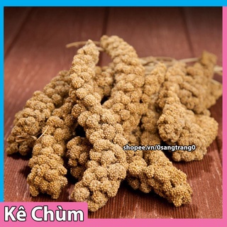 50g kê chùm thức ăn vặt cho hamster-vẹt-chim
