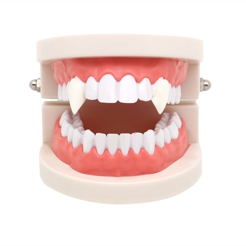 1 Cặp Răng Nanh Giả Hóa Trang Ma Cà Rồng Cho Lễ Halloween