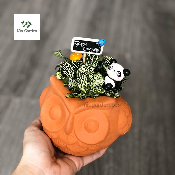Chậu cú mèo đất nung trồng sen đá xương rồng mini cú banh tròn Nia Garden N4