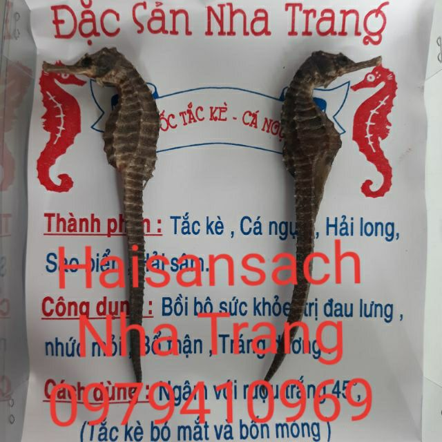 ⭐️ Cá Ngựa Khô 1 con size 10-11cm - Hải Mã tặng 2 Sao Biển