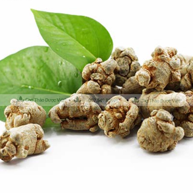 Củ tam thất bắc 200g (Tam thất bắc khô, thơm, loại 7 củ 100g) - Chợ Thảo Dược Việt