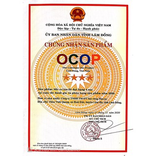 Hạt Macca Đã Rang Nứt Vỏ Size Lớn 500G [MaccaTâyNguyên-LâmHàLâmĐồng]