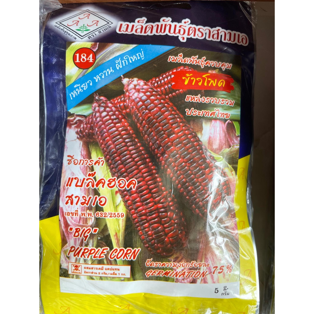 Hạt giống ngô nếp tím nữ hoàng (Bắp ngọt nữa hoàng đỏ) siêu to, dẻo thơm nhập thái lan nguyên gói 5gr (Big Purple Corn)