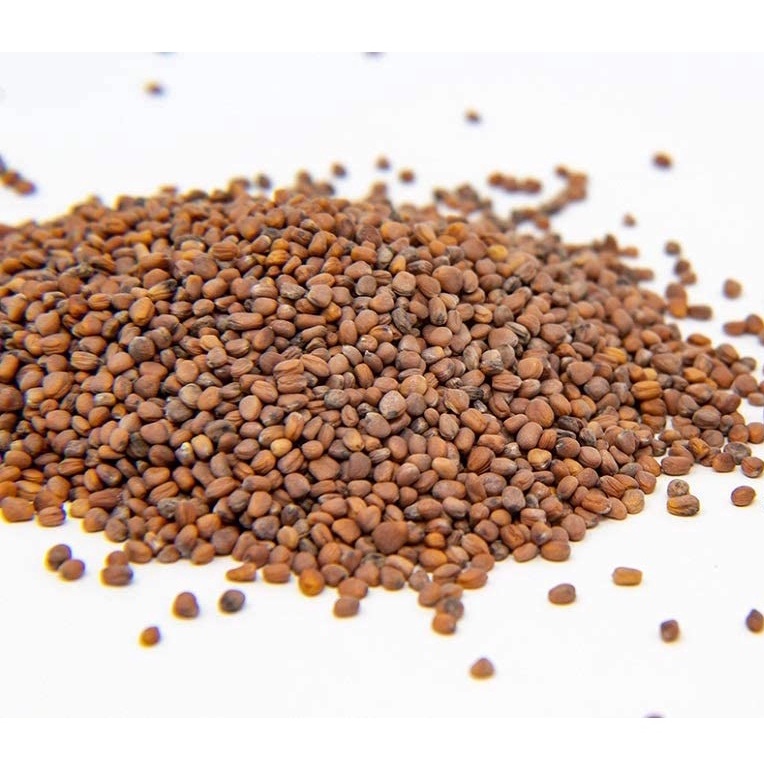 Gói Hạt giống củ cải hoa hồng Trung Mỹ, Hạt giống nảy mầm không biến đổi gen, Country Creek LLC