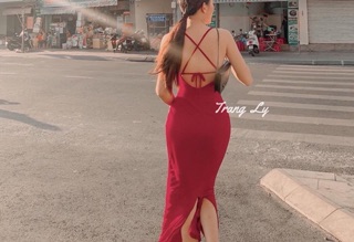 Đầm sang trọng