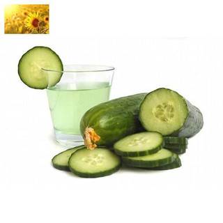 Hạt Giống Dưa Chuột Nếp Ta (30 Hạt)