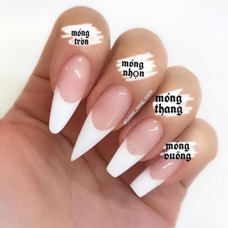 Bộ Nailbox charm gấu 0301