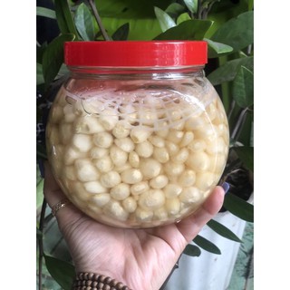 CỦ KIỆU HUẾ NGÂM ĐƯỜNG