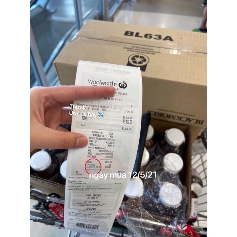 hoa anh thảo 125v/190v | BigBuy360 - bigbuy360.vn