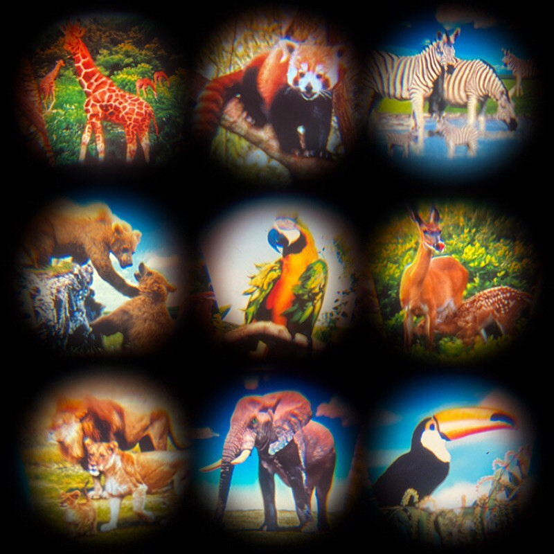 Đồ chơi máy ảnh kích thích thị giác cho bé