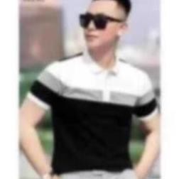 Áo Thun POLO Nam Tay Ngắn Thêu Logo AREMI Cao Cấp Thoáng Mát Co Dãn Tốt ARPL05