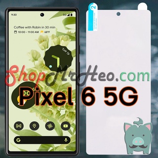 Dán Dẻo PPF Full Màn Hình Google Pixel 6 Pro - Pixel 6 5G (Trong Và Nhám)