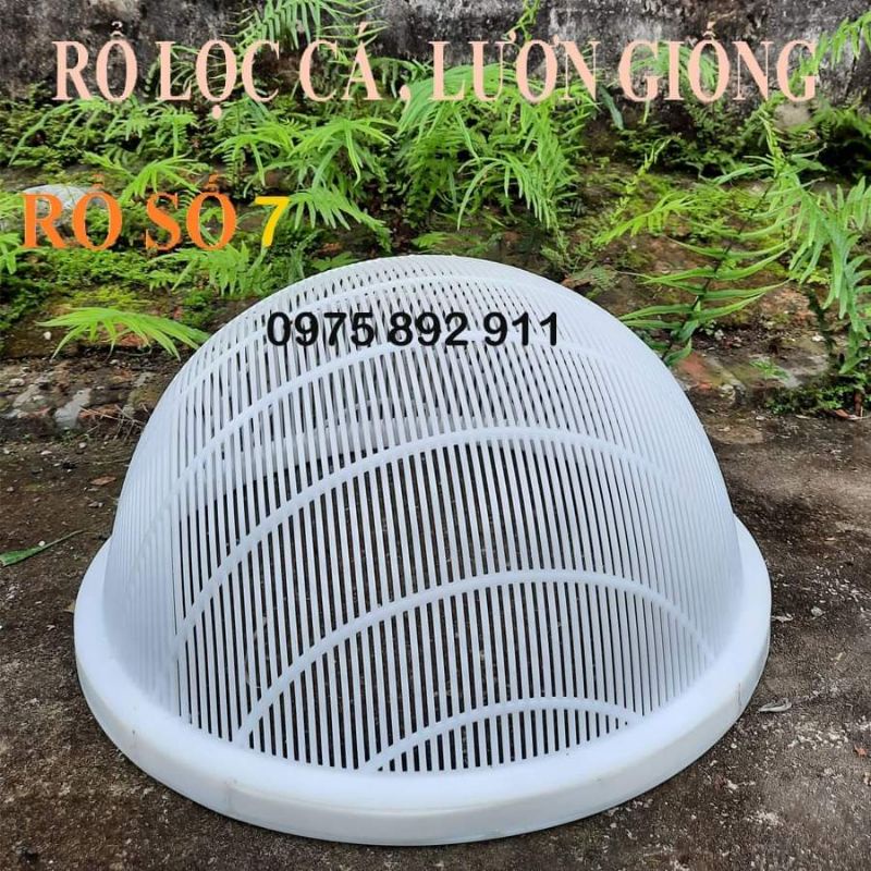 Rổ lọc lươn giống, rổ lọc cá giống