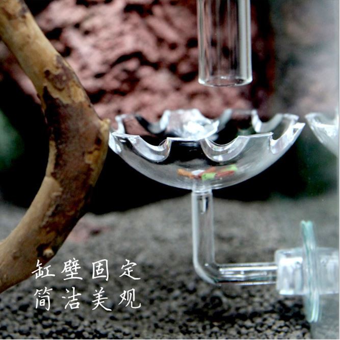 ☘ COMBO Ống Tép Thuỷ Tinh Kèm Chén Tép HOA SEN ☘ Bộ Chén Ống Tép ☘ Phụ Kiện Cho Tép Ăn