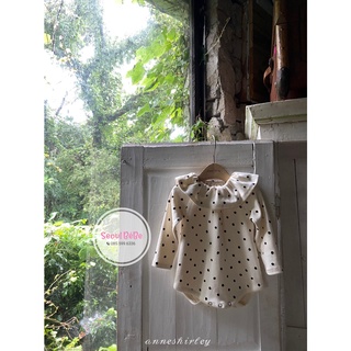 Bộ thỏ AnneShirley suit  Rabbit made in Korea