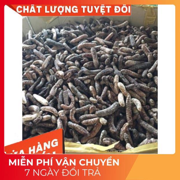 (Dược Liệu Quý) 1kg Quả chuối hột rừng Tây nguyên 🍀FREESHIP🍀Nguyên Quả Phơi Khô Tự Nhiên Chuẩn 100% | WebRaoVat - webraovat.net.vn