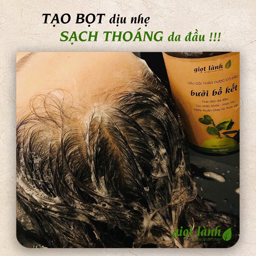 Bộ dầu gội đầu bồ kết, dầu xả, xịt dưỡng tóc, tinh dầu bưởi nguyên chất 4 món giảm rụng, tái tạo tóc hư tổn Giọt Lành