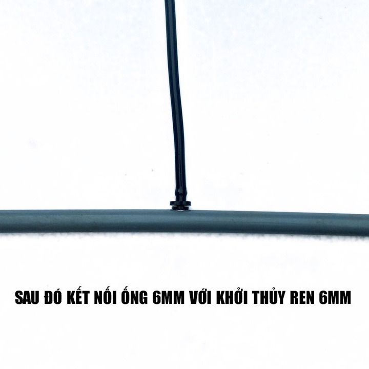 Combo 10 ron cao su khởi thủy 6mm
