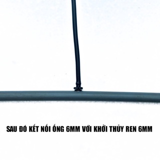 Combo 10 ron cao su khởi thủy 6mm