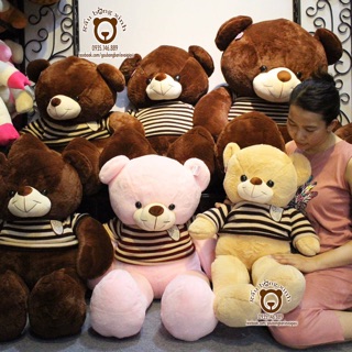 Gấu bông teddy áo len cao 80cm