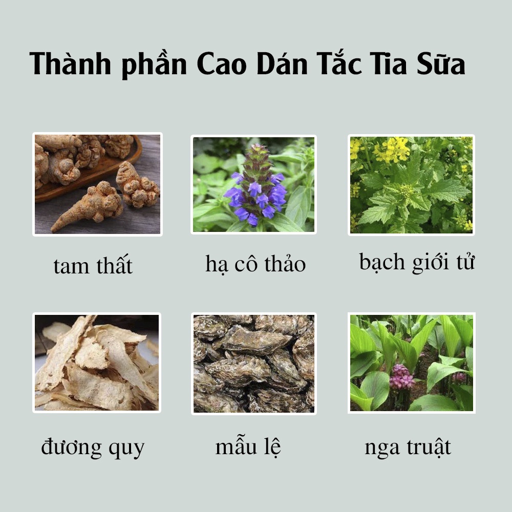 Miếng Dán Thông Tắc Tia Sữa, Cương Sữa Sinh Lí.