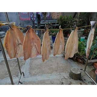 CÁ DỨA 1 NẮNG CẦN GIỜ (700gr-800gr)  (SHIP HCM-SIÊU TỐC)