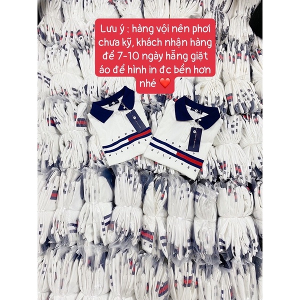 24034# ÁO POLO GIA ĐÌNH TOMMY PHỐI MÀU TRẮNG ĐỎ, CHẤT LIỆU COTTON THOÁNG MÁT