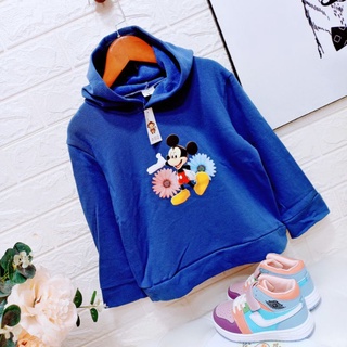 Áo nỉ bông (hoodie)