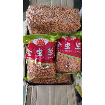 100gr Bông Đông Trùng Hạ Thảo