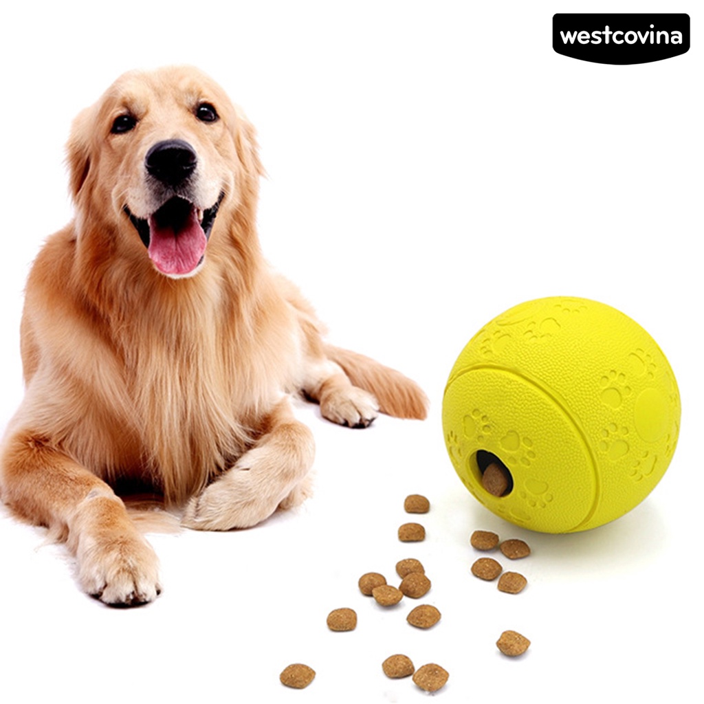 [Mới]♞Quả Bóng Chống Cắn Đồ Chơi Cho Thú Cưng