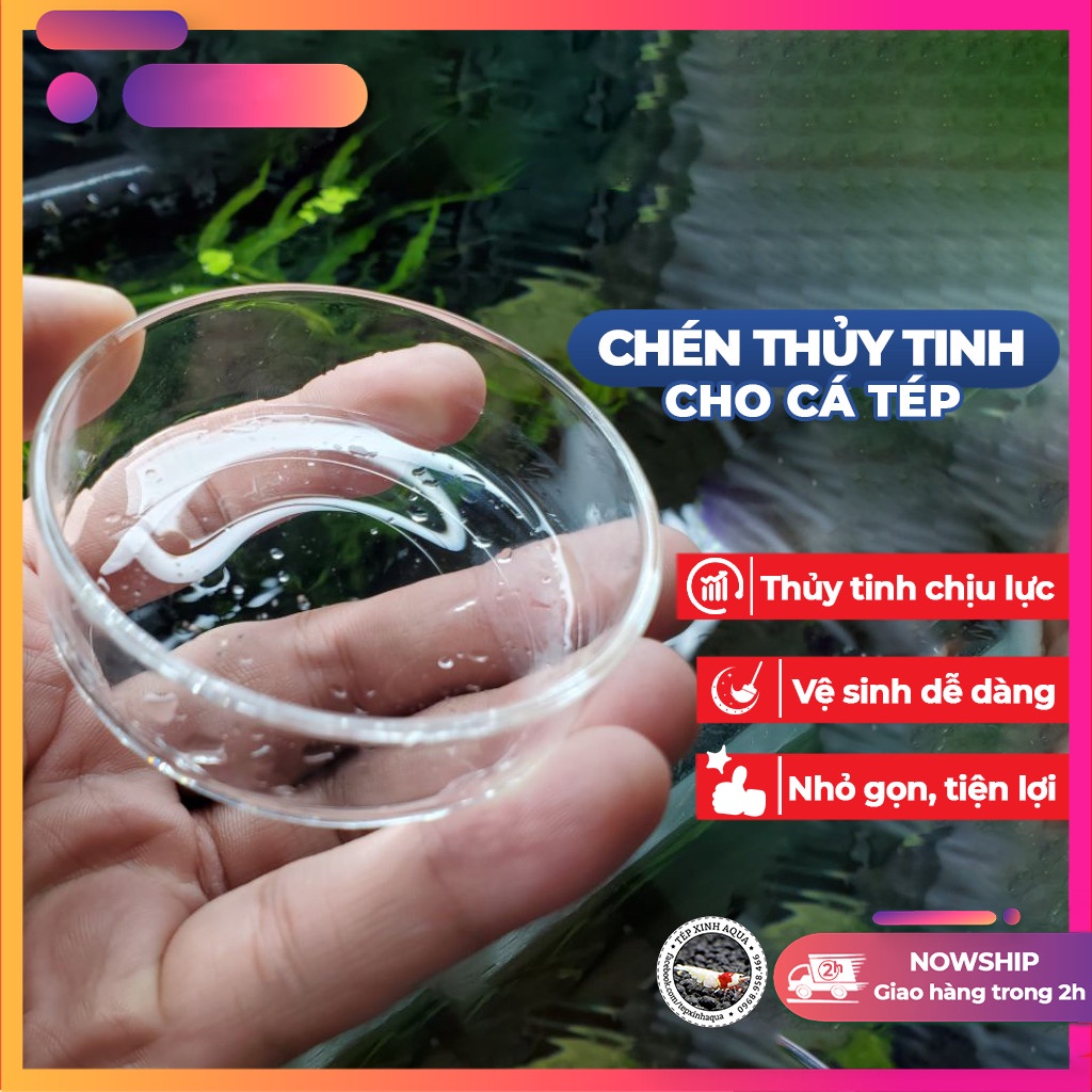 Chén cho tép ăn - chén thủy tinh cho cá tép cảnh - Size Tròn -