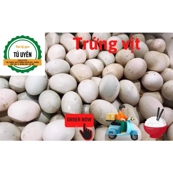 Trứng vịt to, mới