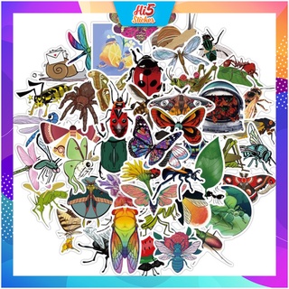 Sticker Hình Dán Trang Trí Hình Vẽ Côn Trùng ms#220