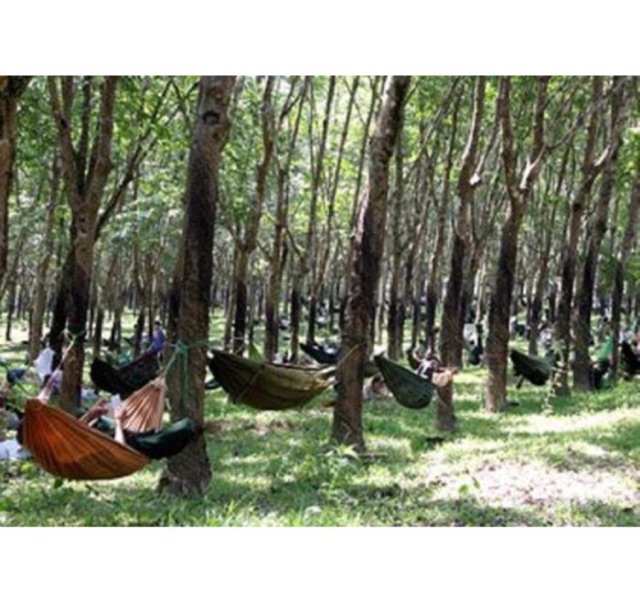 Võng dù màu xanh mịn mát khổ 1m4x2m2