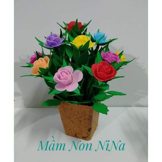 Chậu hoa hồng 15 bông