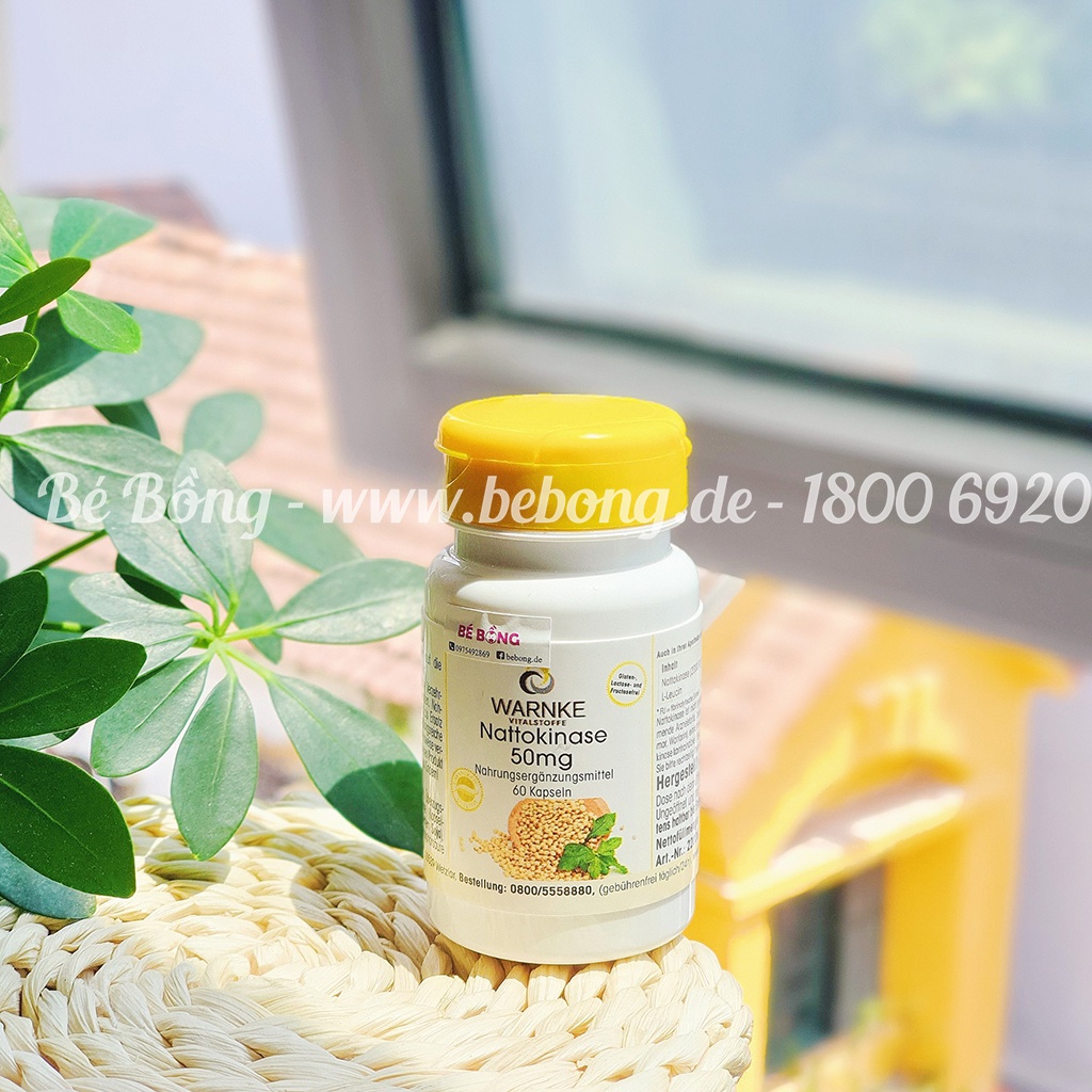 Viên uống chống đột quỵ Nattokinase Warnke 60v