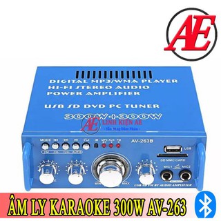 Âm Ly Karaoke Bluetooth 2x300W