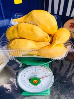 Sầu ri6 cơm vàng