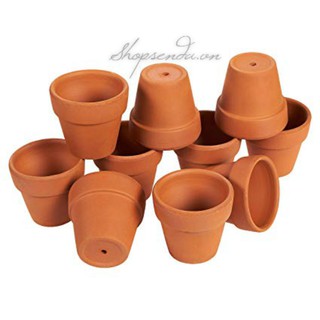 Combo 10 chậu đất nung mini dùng trồng cây 7cm