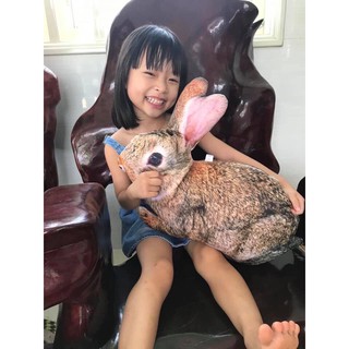 GỐI ÔM 3D HÌNH THỎ NÂU 55CM