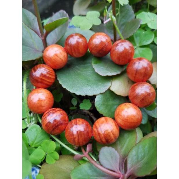 Vòng tay gỗ huyết long cao cấp phong thủy - vòng trang sức đem lại may mắn cho người đeo