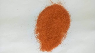 Guppy Dumbo Red 2 đôi 80k