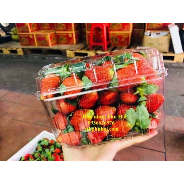 100 hộp nhựa đựng trái cây 1kg dâu, nho,cherry 1