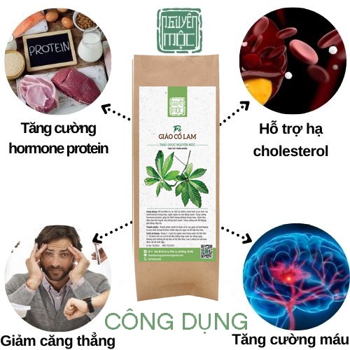 Trà giảo cổ lam thảo dược Nguyên Mộc hỗ trợ giữ dáng đẹp da, cải thiện giấc ngủ  điều hòa khí huyết | BigBuy360 - bigbuy360.vn